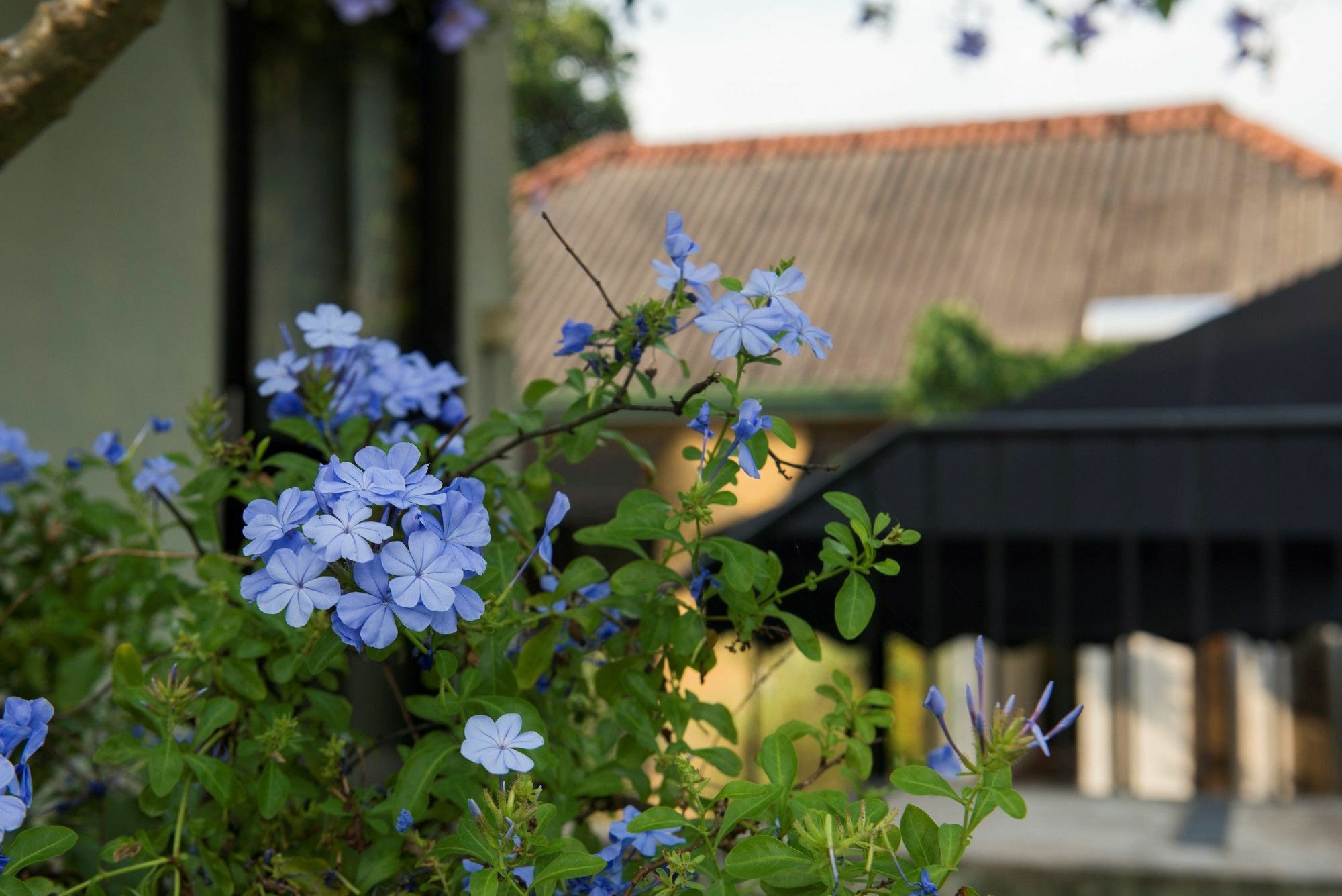 Villa Escondite - The Hotel Sri Jayewardenepura Kotte Luaran gambar